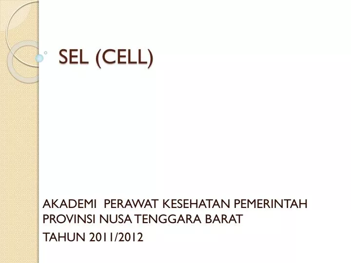 sel cell
