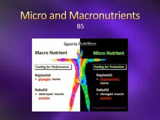 Micro and Macronutrients