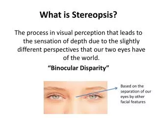 What is Stereopsis ?