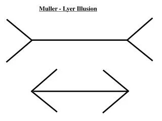 Muller - Lyer Illusion