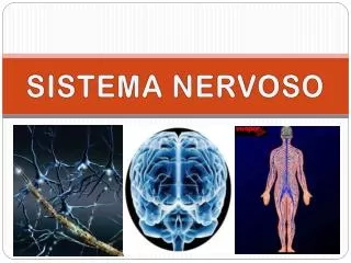 sistema nervoso