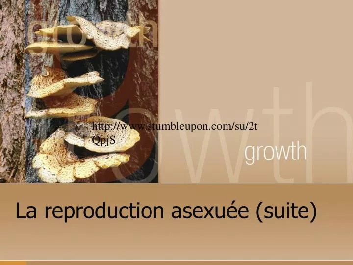 la reproduction asexu e suite