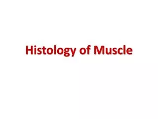 Histology of Muscle
