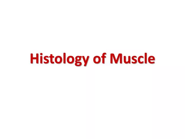 histology of muscle