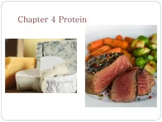 Chapter 4 Protein