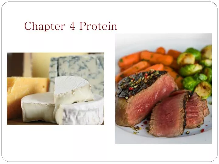 chapter 4 protein