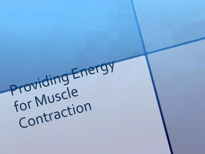 providing energy for muscle contraction