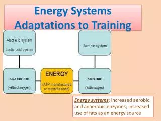 Energy Systems Adaptations to Training