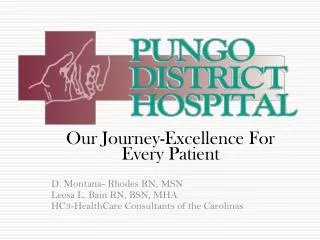 Our Journey-Excellence For Every Patient D. Montana- Rhodes RN, MSN Leesa L. Bain RN, BSN, MHA