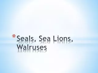 Seals, Sea Lions, Walruses