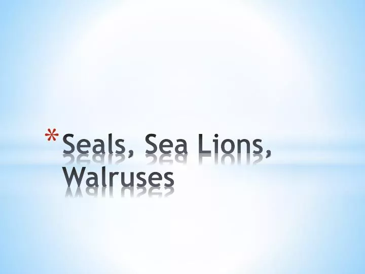 seals sea lions walruses