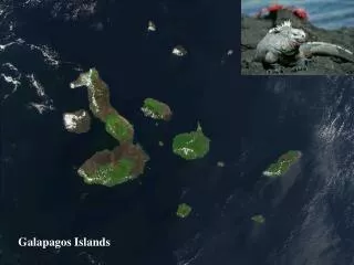 Galapagos Islands