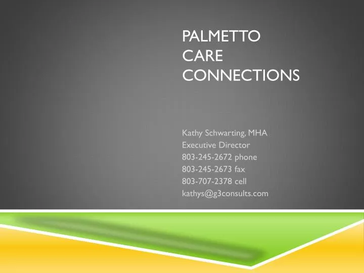 palmetto care connections