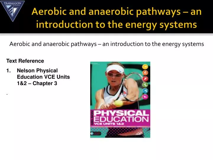 aerobic and anaerobic pathways an introduction to the energy systems