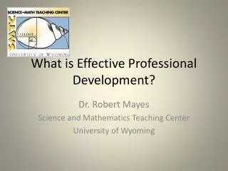 What is Effective Professional Development?