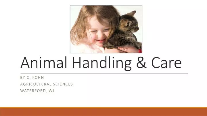 animal handling care