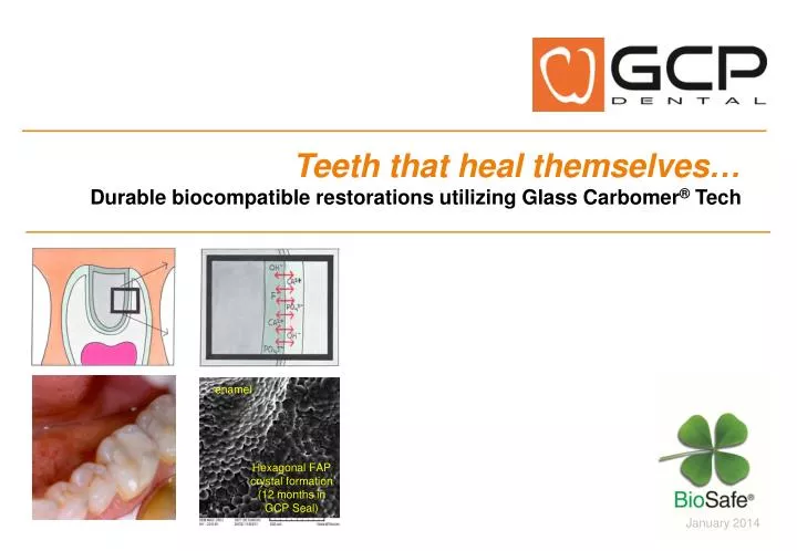 teeth that heal themselves durable biocompatible restorations utilizing glass c arbomer tech