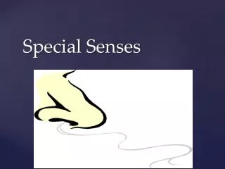 special senses