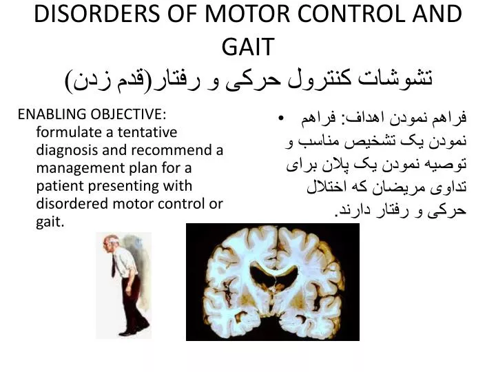 disorders of motor control and gait