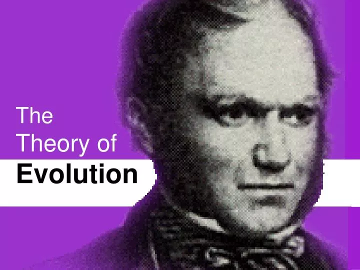Revolution Evolution - Darwin's Evolution of Man - Rock and Roll