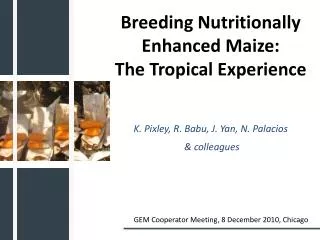 Breeding Nutritionally Enhanced Maize: The Tropical Experience