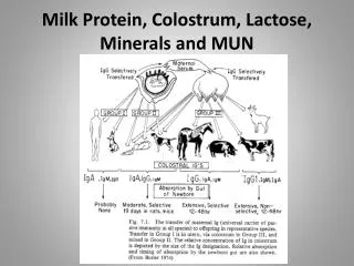 Milk Protein, Colostrum , Lactose, Minerals and MUN