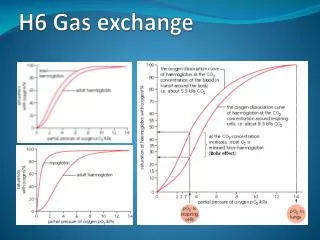 H6 Gas exchange