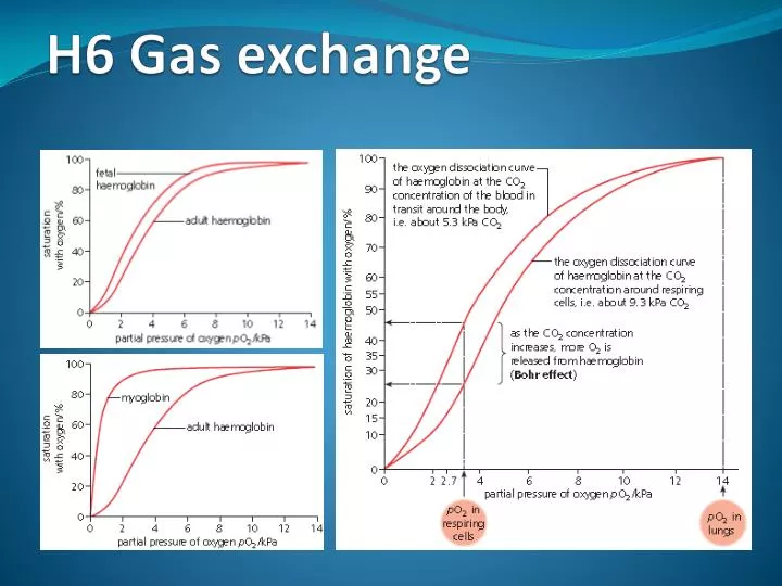 h6 gas exchange