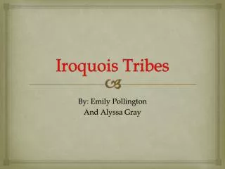 Iroquois Tribes