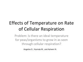 Effects of Temperature on Rate of Cellular Respiration