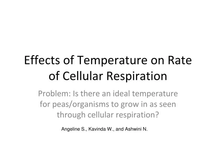 effects of temperature on rate of cellular respiration