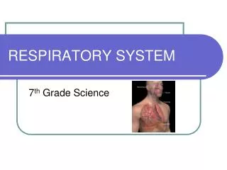 respiratory system