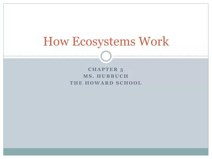 how ecosystems work