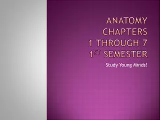 Anatomy Chapters 1 through 7 1 st semester