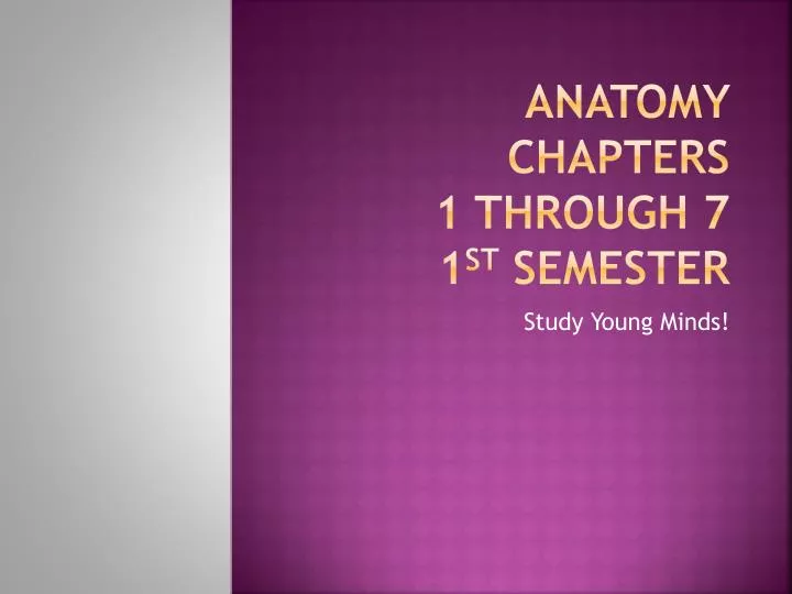 anatomy chapters 1 through 7 1 st semester