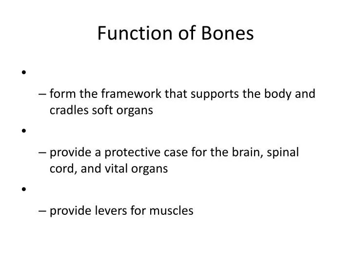 function of bones