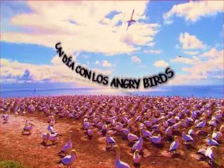 UN DÍA CON LOS ANGRY BIRDS