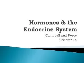 Hormones &amp; the Endocrine System