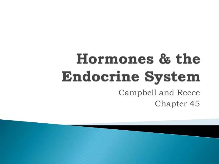 hormones the endocrine system