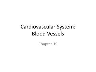 Cardiovascular System: Blood Vessels