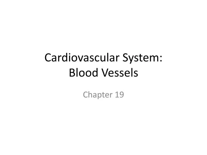 cardiovascular system blood vessels