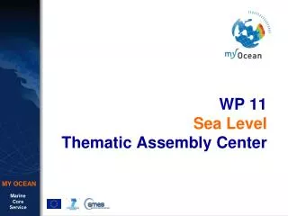 WP 11 Sea Level Thematic Assembly Center