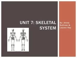 Unit 7: Skeletal System
