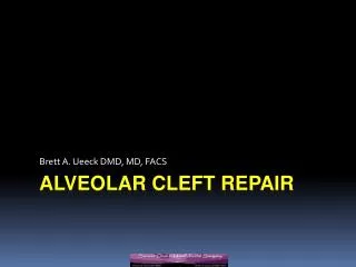 Alveolar cleft repair