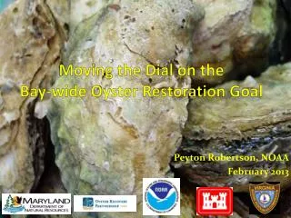 Moving the Dial on the Bay-wide Oyster Restoration Goal