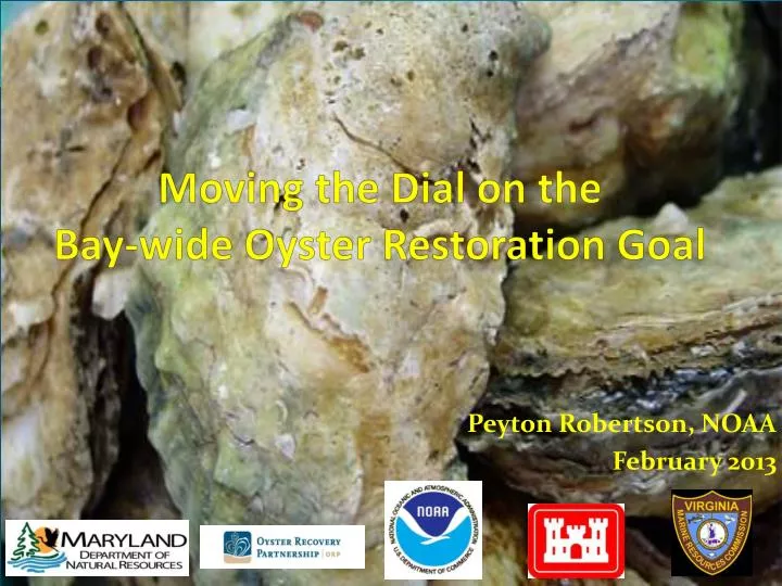moving the dial on the bay wide oyster restoration goal
