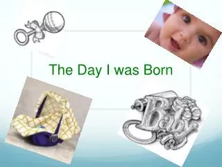 The Day I was Born