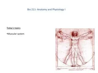 Bio 211- Anatomy and Physiology I