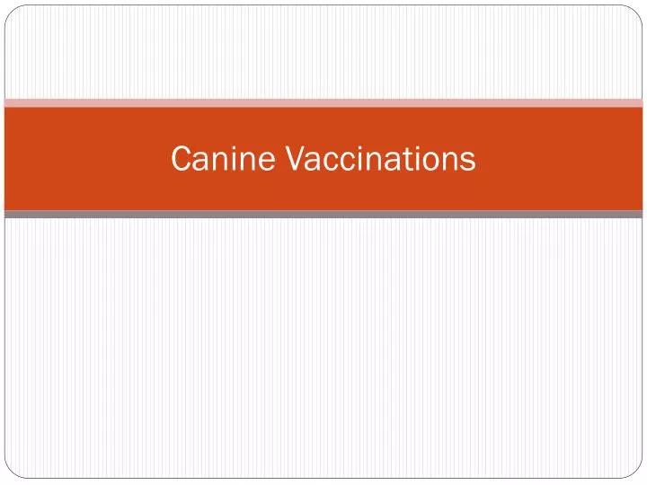 canine vaccinations