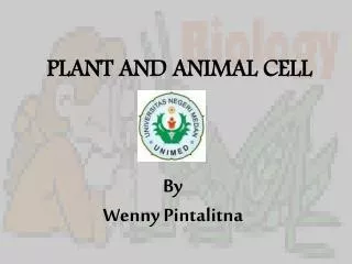 PLANT AND ANIMAL CELL By Wenny Pintalitna